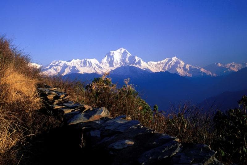 Kathmandu Poon Hill Chitwan Tour - 11 Days