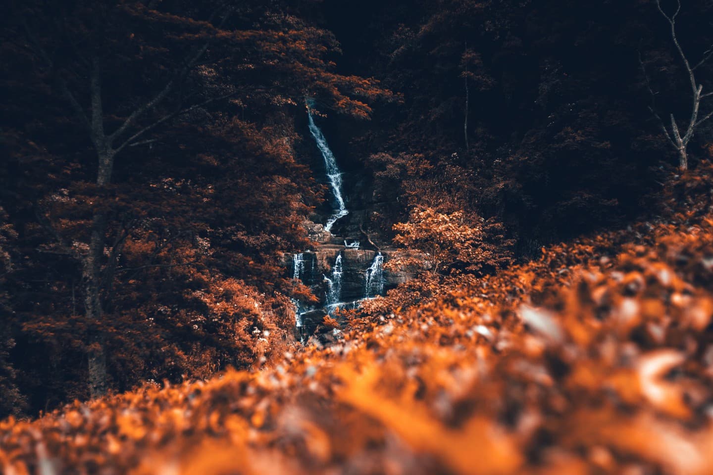Waterfall in autumn forest
